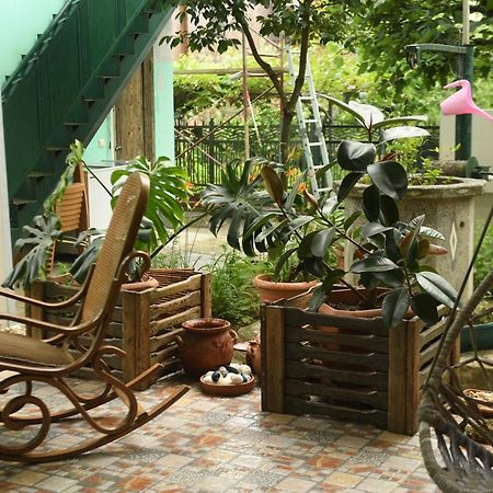 Guest House Green House 祖格迪迪 外观 照片